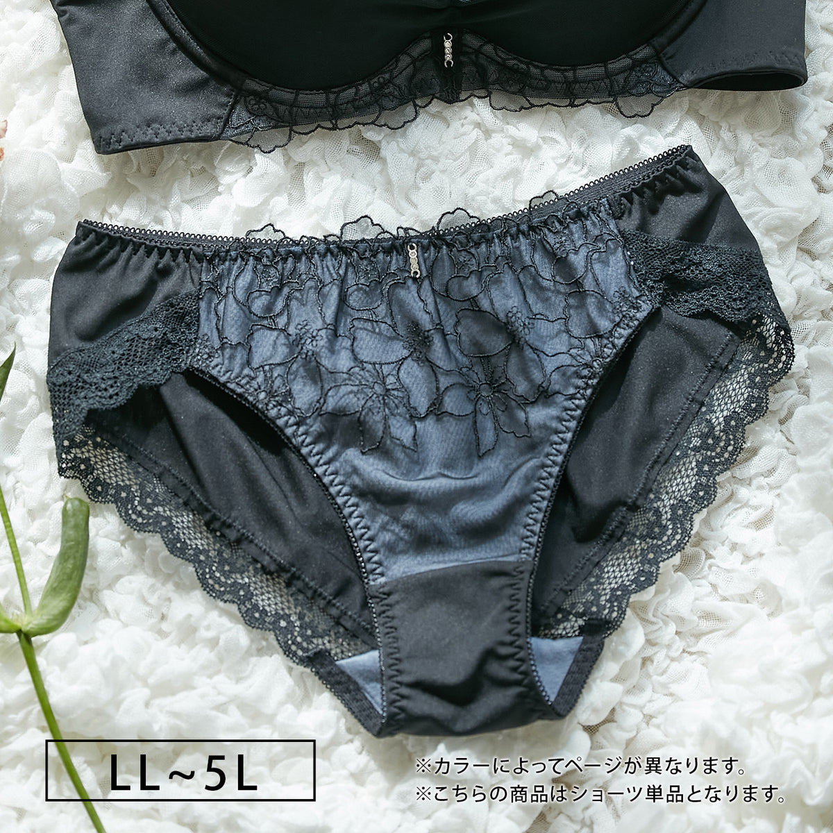 【LL〜5L】デコルリッチブラペアショーツ(ブラック)_90455-51