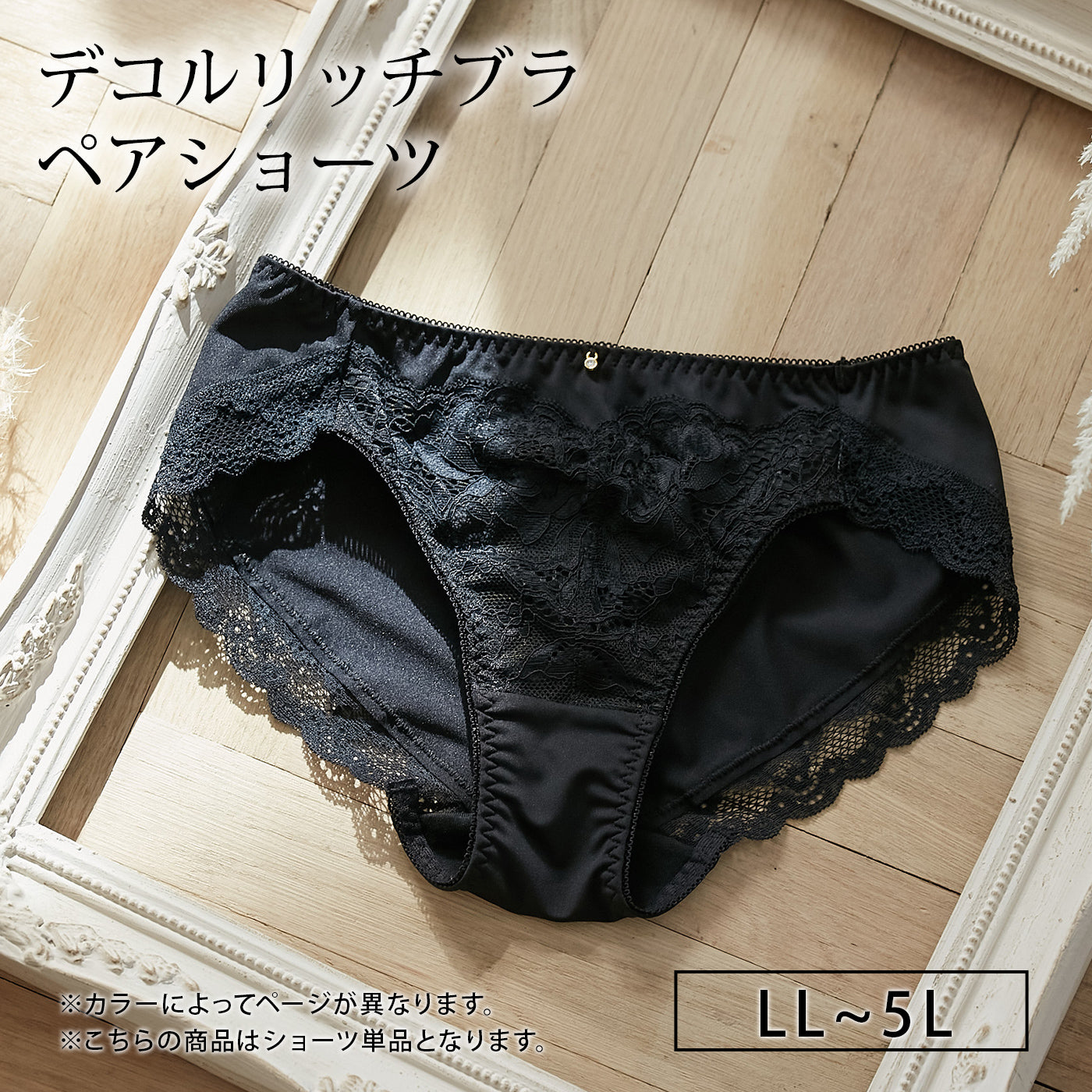 【LL〜5L】デコルリッチブラペアショーツ(ブラック)_90457-51