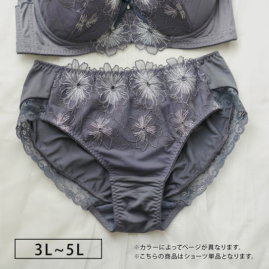 【3L~5L】スマートラインブラペアショーツ(チャコール)_90495-47