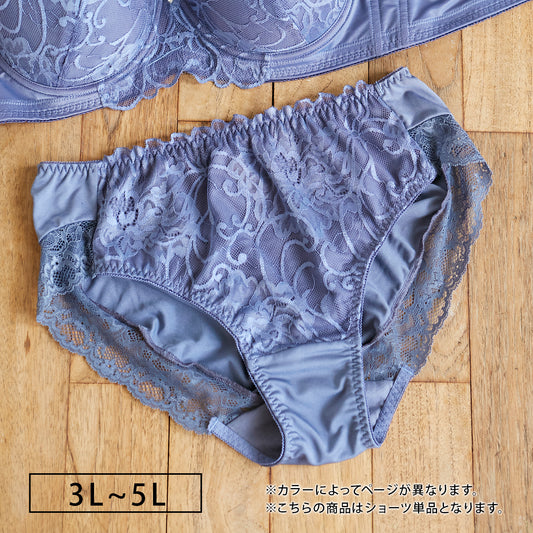 【3L~5L】スマートラインブラペアショーツ(ネイビー)_90497-36