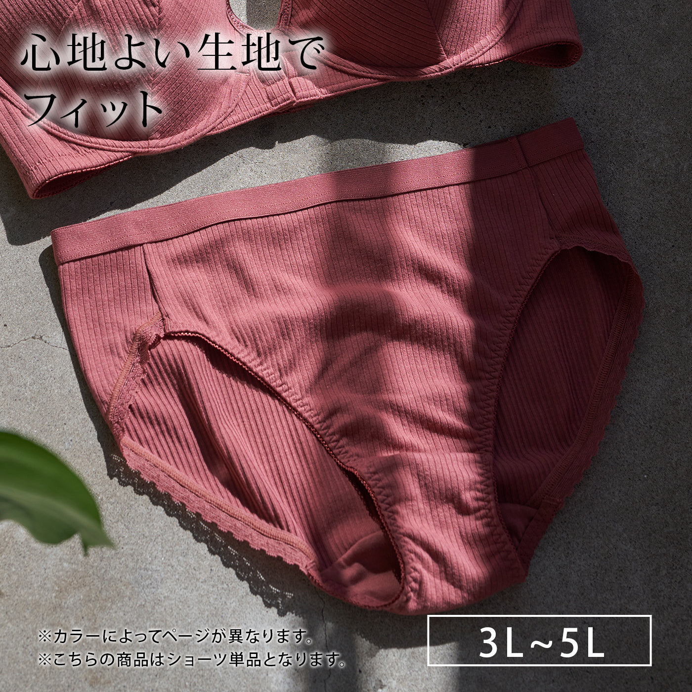 【3L〜5L】フロントホックブラペアショーツ(テラコッタ)_90512-18