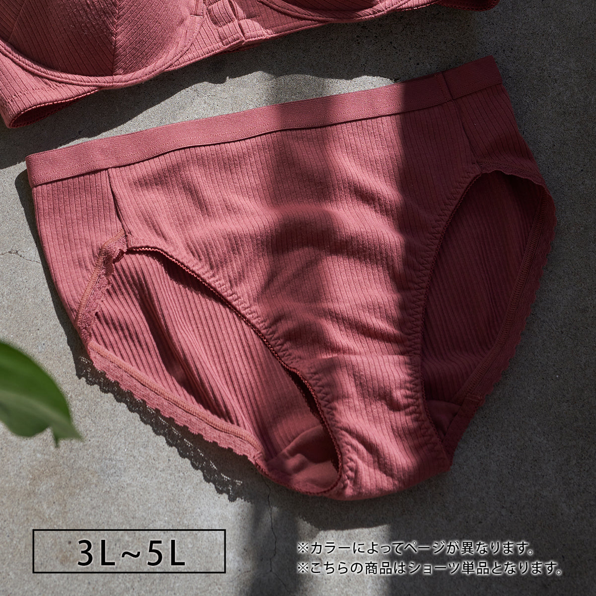 【3L〜5L】フロントホックブラペアショーツ(テラコッタ)_90512-18