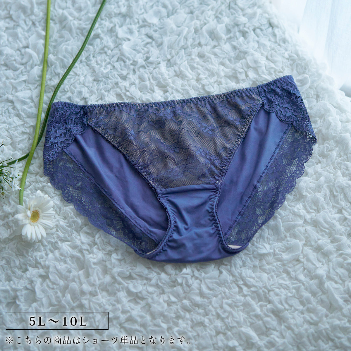 【5L〜10L】美胸キーパーグランリフトペアショーツ浅ばきタイプ(ネイビー)_90555-36