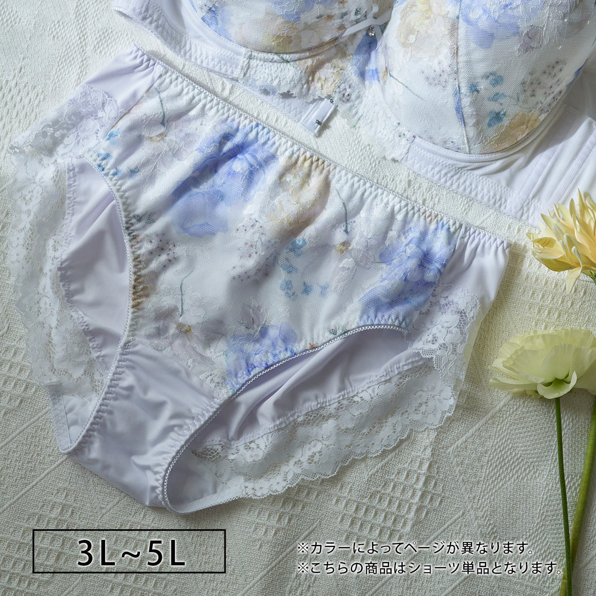 【3L~5L】スマートラインブラペアショーツ(ホワイト)_90557-46