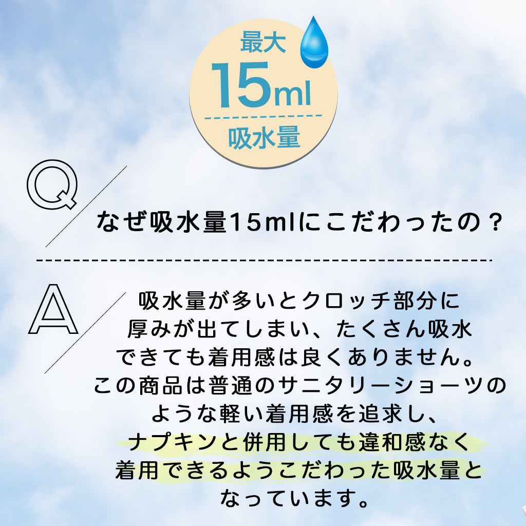 【3L~10L】 吸水型サニタリーショーツ(ブラック)_90573-51