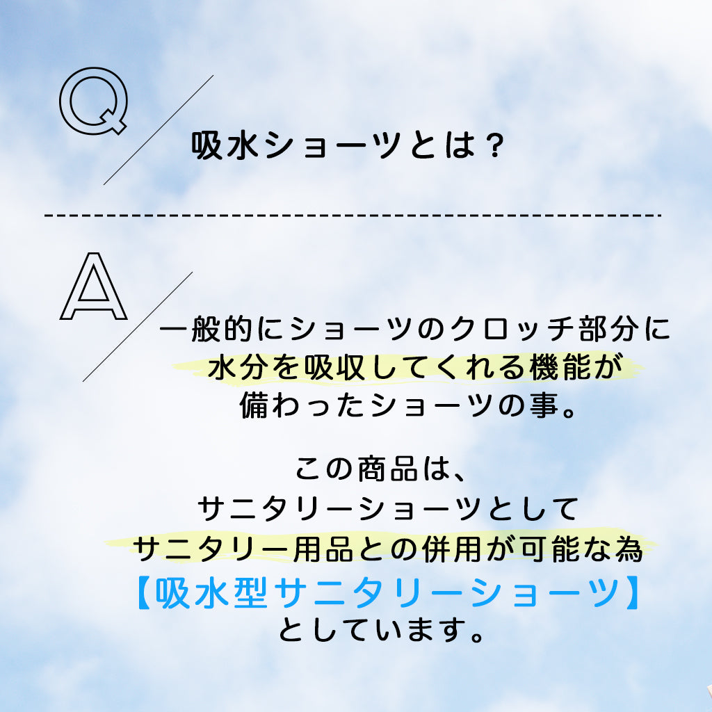 【3L~10L】 吸水型サニタリーショーツ(ブラック)_90573-51