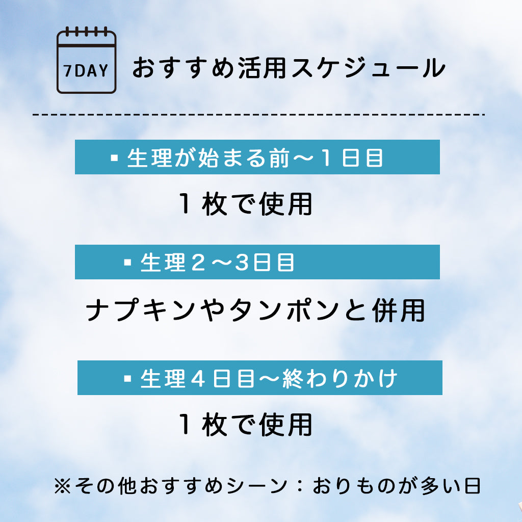 【3L~10L】 吸水型サニタリーショーツ(ブラック)_90573-51