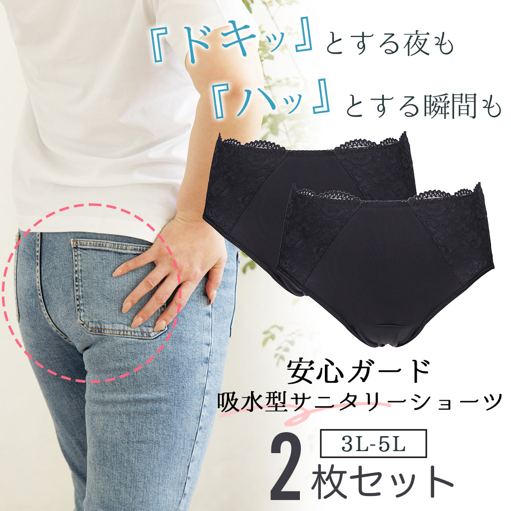 【3L~5L】 吸水型サニタリーショーツ2枚組セット(ブラック)_45573-51