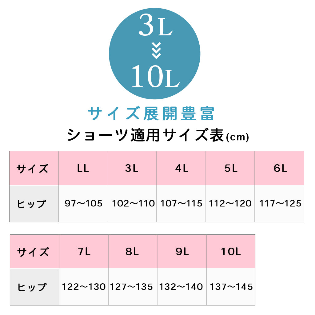 【3L~10L】 吸水型サニタリーショーツ(ブラック)_90573-51
