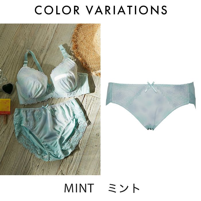 【3L〜5L】Lingerie×しっかりホールド・美胸キーパーペアショーツ_90245