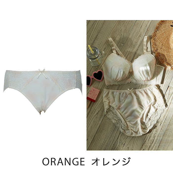 【3L〜5L】Lingerie×しっかりホールド・美胸キーパーペアショーツ_90245
