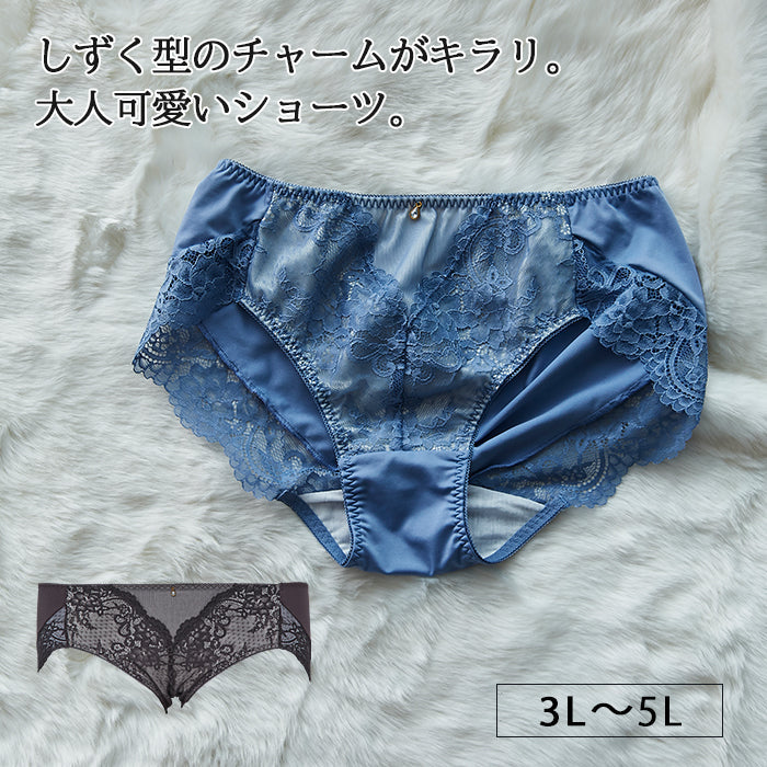 【3L〜5L】楽してバストメイク・美胸ノンワイヤーペアショーツ_90321