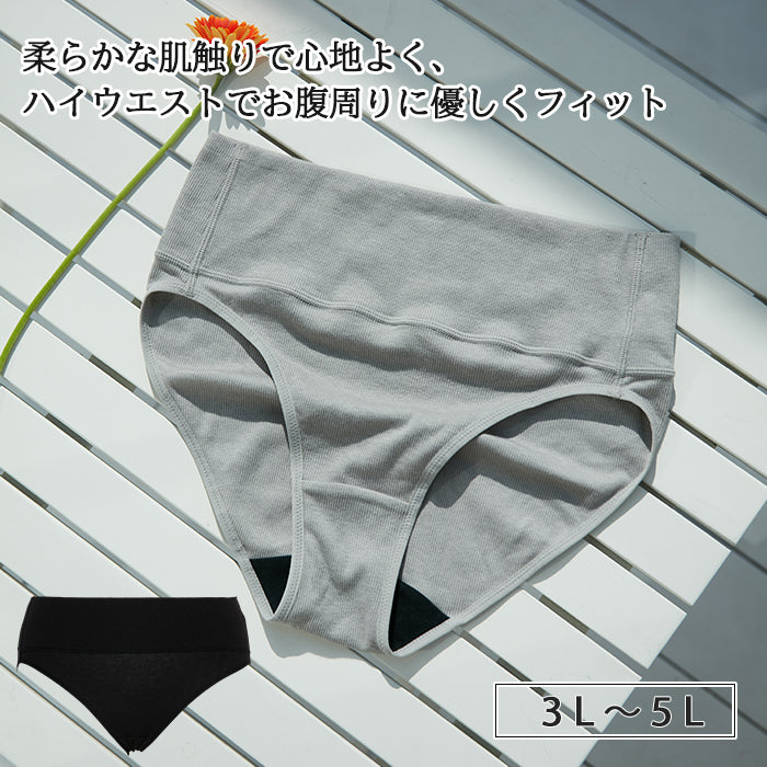 【3L〜5L】見せないアウターランジェリーペアショーツ_90371