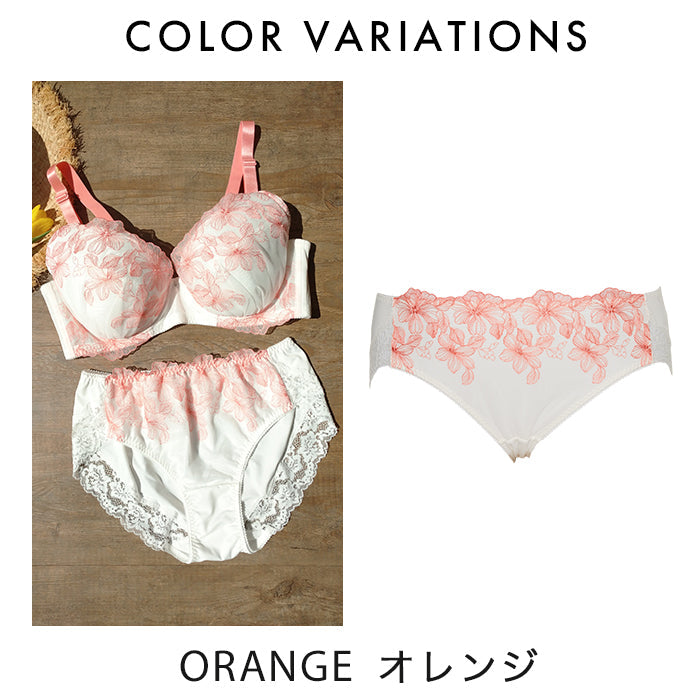 【3L~10L】しっかりホールド・美胸キーパーペアショーツ_90378