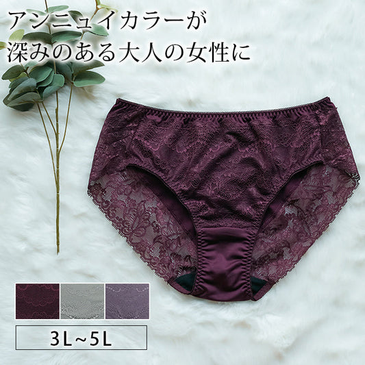 【3L~5L】楽してバストメイク・美胸ノンワイヤーペアショーツ_90413