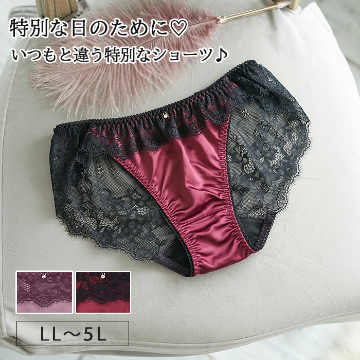 【LL~5L】特別な日ランジェリー・ペアショーツ_90434
