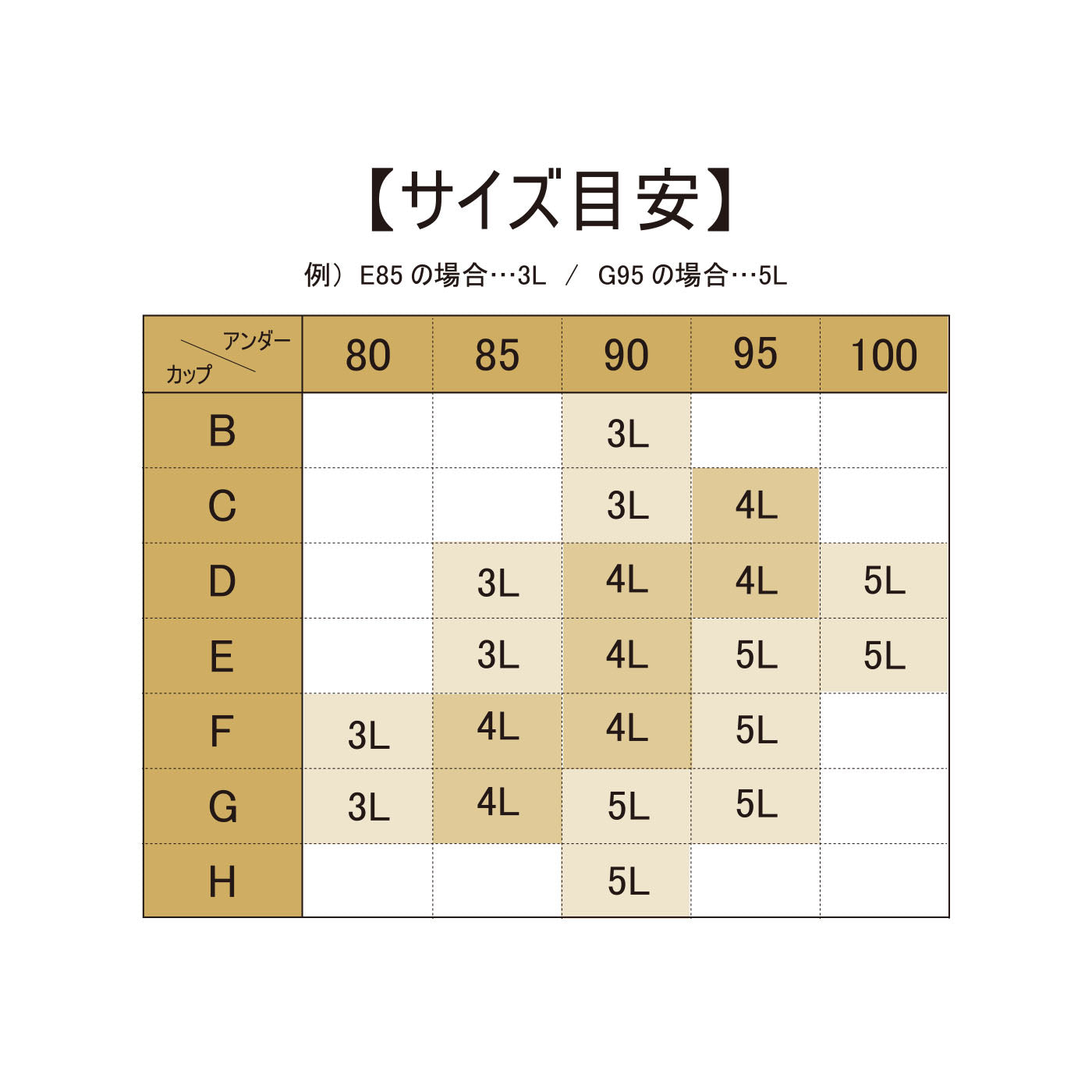 【LL～5L】楽してバストメイク・美胸ノンワイヤーブラ_90492