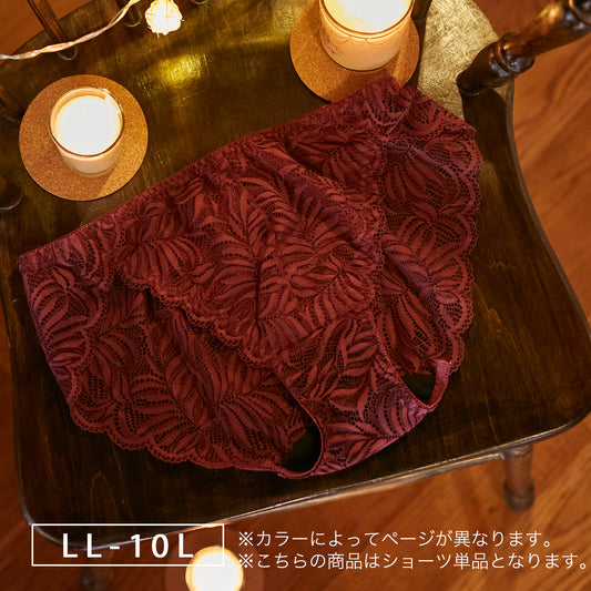 【LL〜10L】しっかりホールド・美胸キーパー（ハイカバレッジタイプ）ペアショーツ（バーガンディー）_90315-41