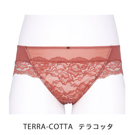 【LL～10L】しっかりホールド・美胸キーパーペアショーツ（テラコッタ）_90489-18