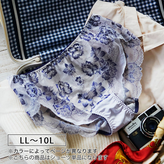≪2点で10％OFF・3点で20％OFF対象≫【LL～10L】美胸ノンワイヤー＋ペアショーツ（ライトグレー）_90535-49