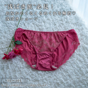 【5L〜10L】美胸キーパーグランリフトペアショーツ浅ばきタイプ（ローズ）_90555-41