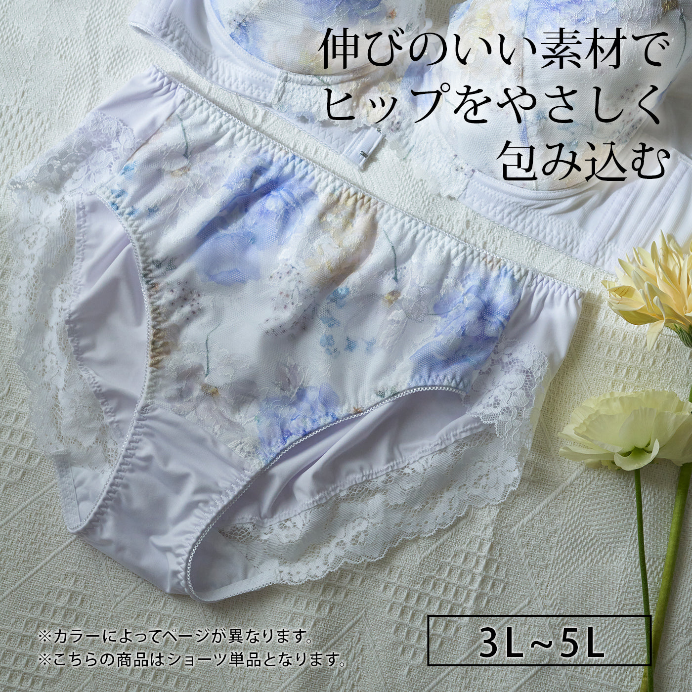 【3L～5L】スマートラインブラペアショーツ（ホワイト）_90557-46