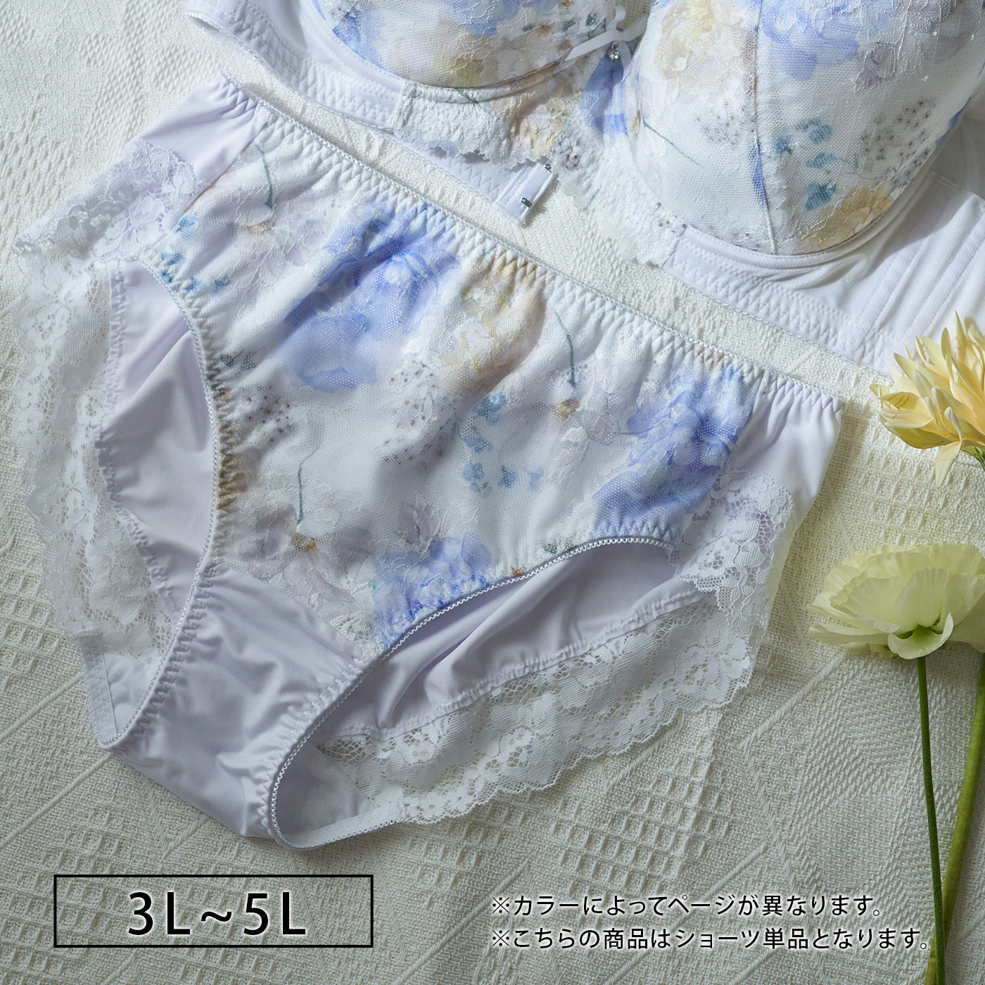 【3L～5L】スマートラインブラペアショーツ（ホワイト）_90557-46