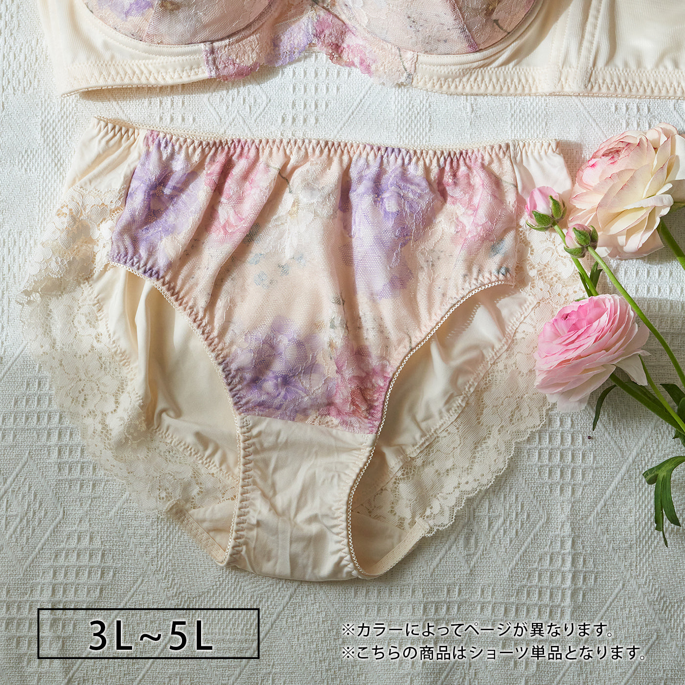 【3L～5L】スマートラインブラペアショーツ（ベージュ）_90557-54