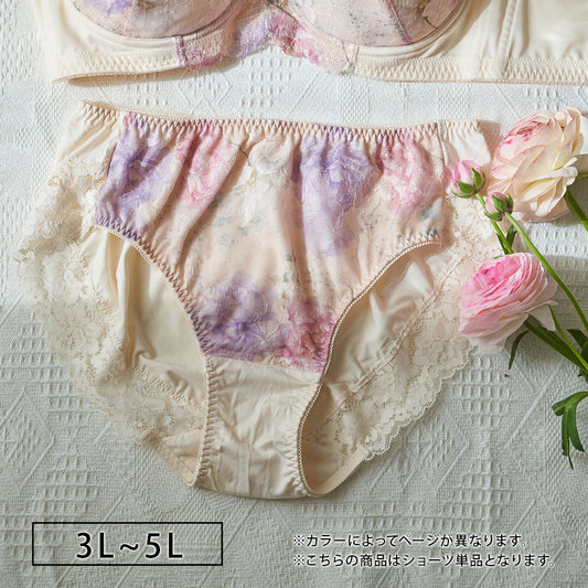 【3L〜5L】スマートラインブラペアショーツ（ベージュ）_90557-54