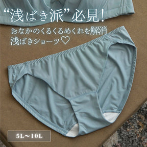 【5L〜10L】美胸キーパーグランリフトペアショーツ浅ばきタイプ(ブルーグレー）_90605-33