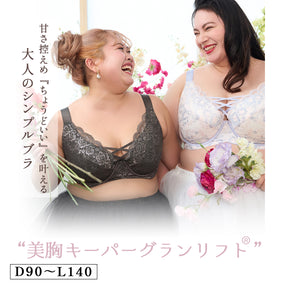 【D90～L140】美胸キーパーグランリフト 3/4カップブラ（サックス）_90622-30