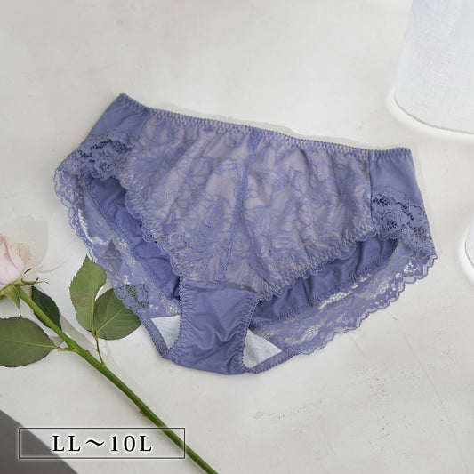 【LL～10L】しっかりホールド・美胸キーパーペアショーツ（ブルー）_90634-33
