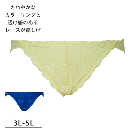 【3L〜5L】しっかりホールド・美胸キーパーペアショーツ_90243
