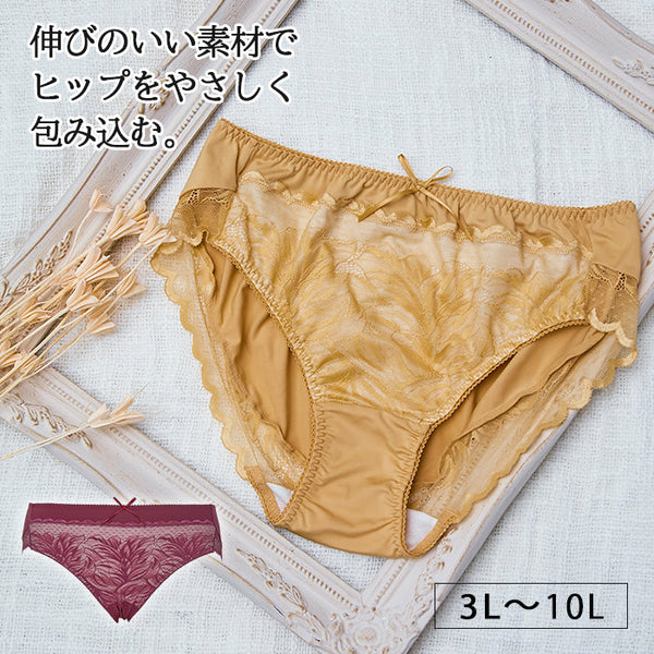 【3L〜10L】しっかりホールド・美胸キーパーペアショーツ_90317