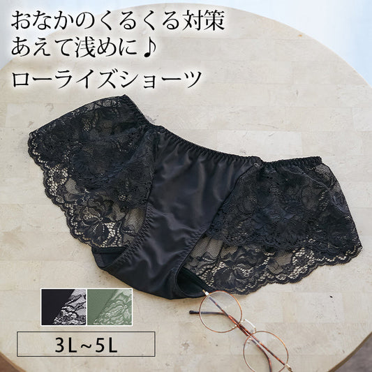 【LL～5L】デコルリッチブラペアローライズショーツ_90343