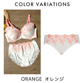 【3L～10L】しっかりホールド・美胸キーパーペアショーツ_90378