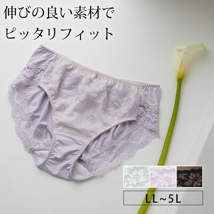 【LL～5L】楽してバストメイク・美胸ノンワイヤーペアショーツ_90491